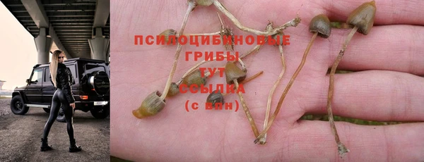 а пвп мука Богородск