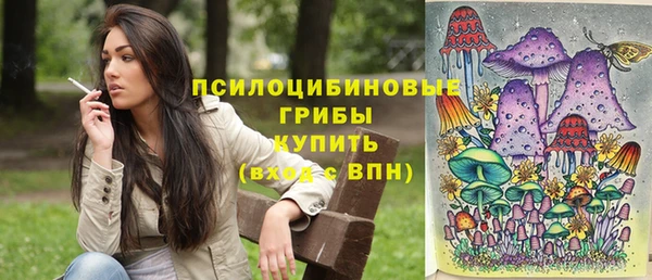 эйфоретик Богородицк