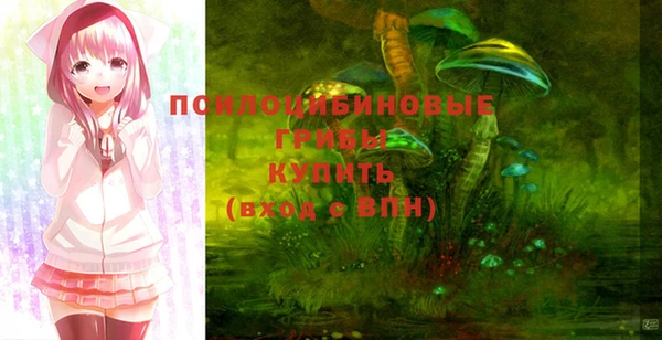 эйфоретик Богородицк